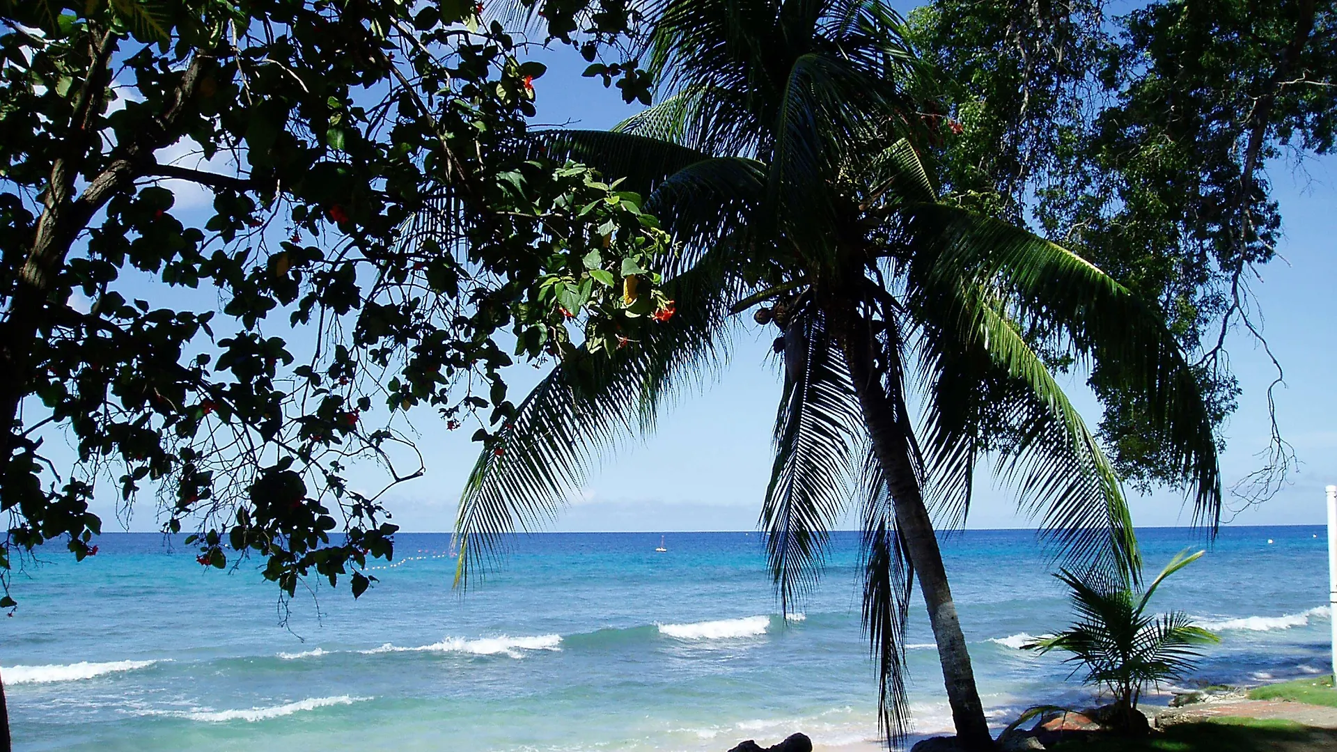 Divi Southwinds Beach Resort Christ Church 3*,